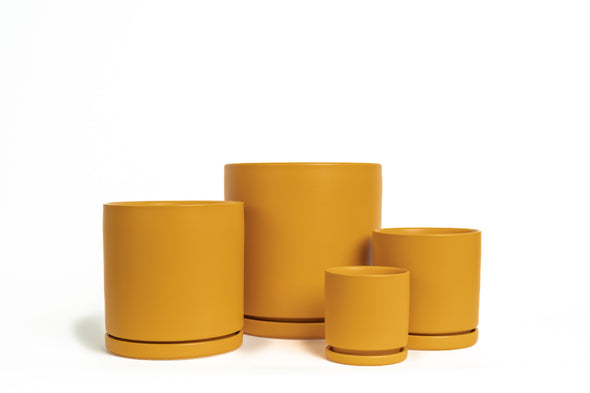 Four Piece Set - Gemstone Cylinder Pots with Water Saucers