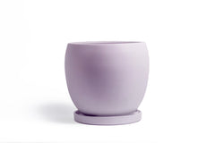 12" Bollé Pot with Water Saucer