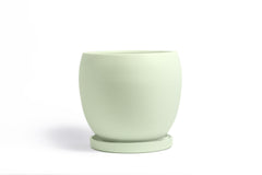 12" Bollé Pot with Water Saucer