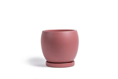 12" Bollé Pot with Water Saucer