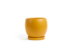 12" Bollé Pot with Water Saucer