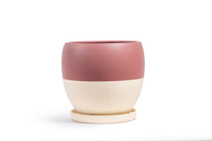 12" Bollé Pot with Water Saucer