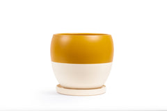 12" Bollé Pot with Water Saucer