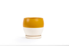 10" Bollé Pot with Water Saucer