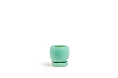 4.25" Bollé Pot with Water Saucer