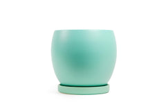 10" Bollé Pot with Water Saucer