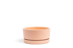 8.5" Low-Bowl with Water Saucer