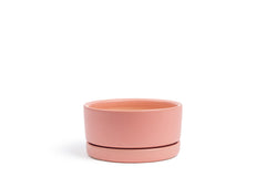 8.5" Low-Bowl with Water Saucer