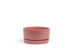 4.5" Low-Bowl with Water Saucer