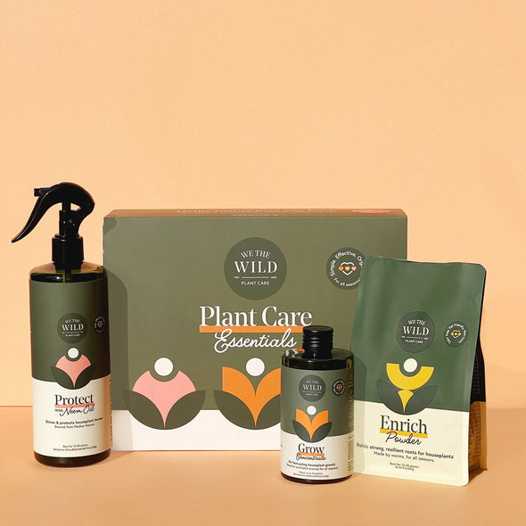 Essential Plant Care Kit - We The Wild