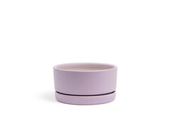 6.5" Low-Bowl with Water Saucer