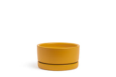 6.5" Low-Bowl with Water Saucer