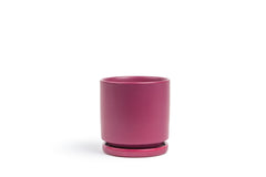 Limited Release - 6.5" Gemstone Cylinder Pot with Water Saucer