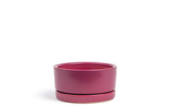 6.5" Low-Bowl with Water Saucer