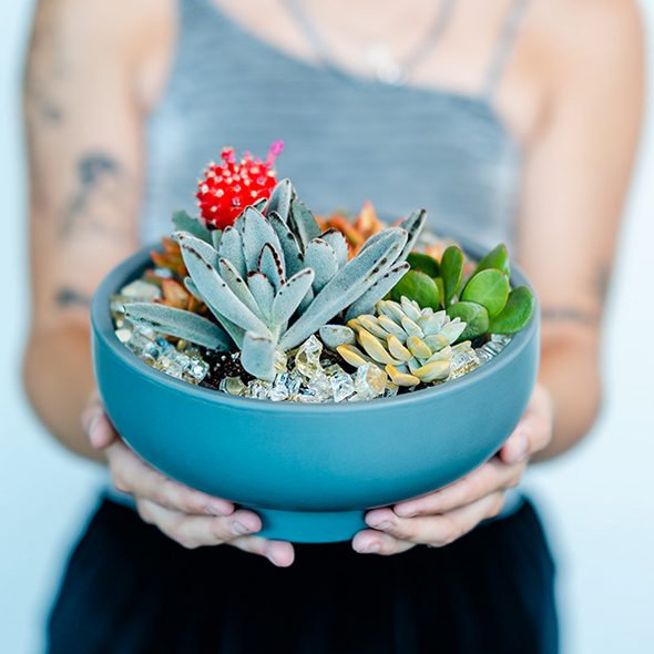 Private Planting Party