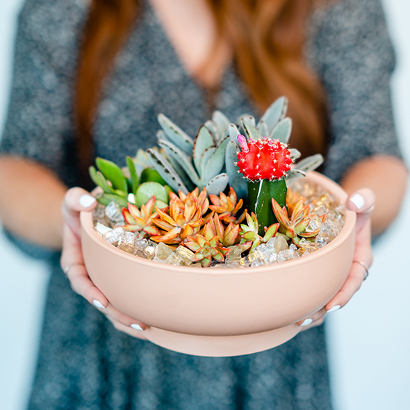 Girl Scouts San Diego