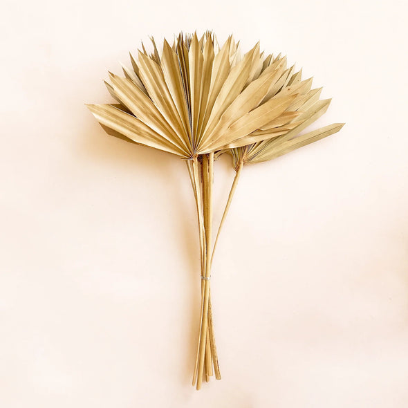 Dried Natural Palm Frond