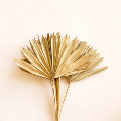 Dried Natural Palm Frond